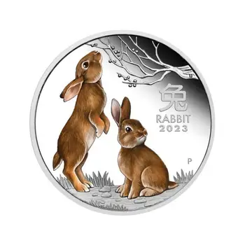 Съвременното широко приложение В чест на Привлекателен 2023 Година на Зайци на Австралийския Заек Коледен магазин икона