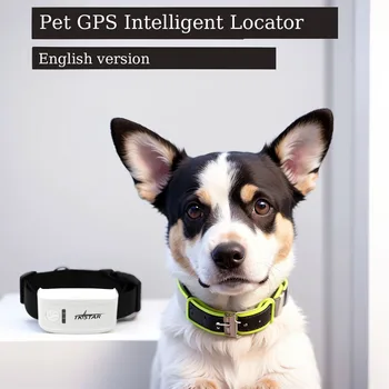 GPS следа за кучета и котки, умен яка, позициониране и активност, Неограничен набор от Онлайн проследяване на домашни любимци